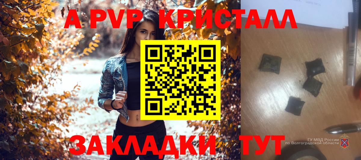 закладки  Альфа ПВП  Alfa_PVP крисы CK  Ковров  Вход с VPN  А ПВП СК 