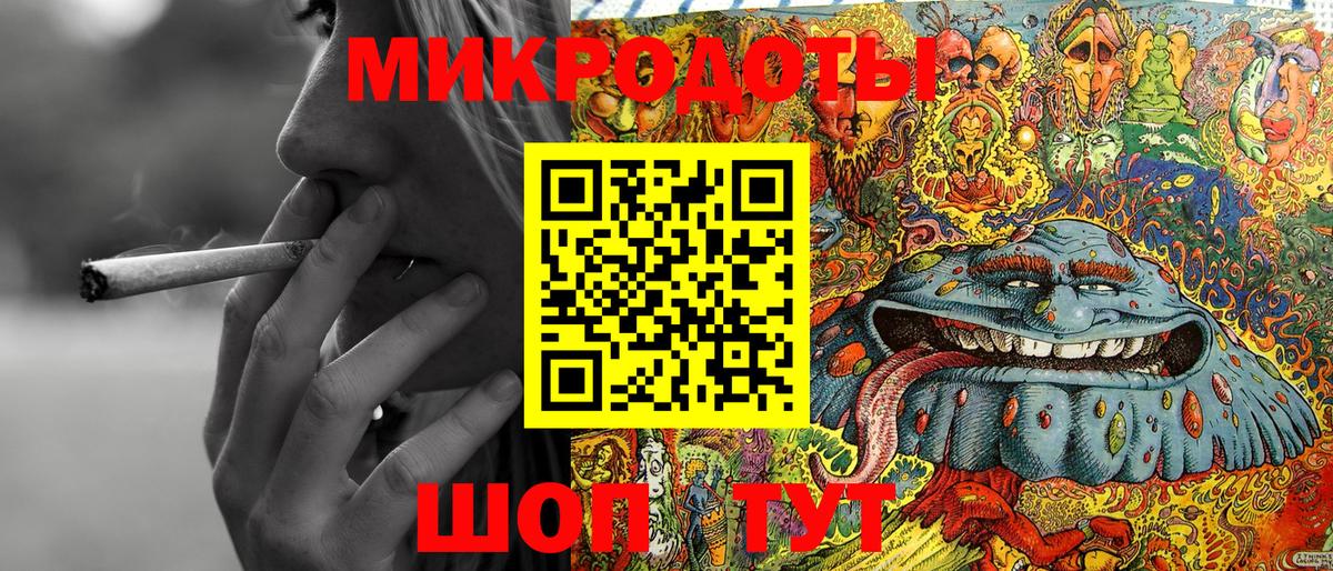 Псилоцибиновые грибы Psilocybine cubensis Ковров